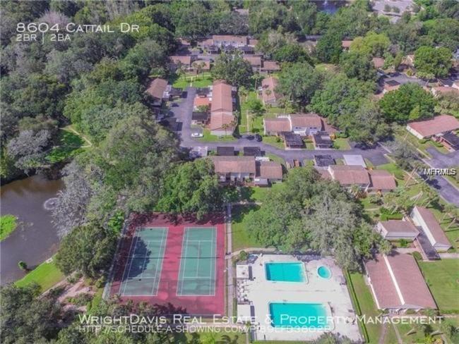 Cozy 3 Bed 2.5 Bath Located Near Busch Gardens Apartamento Tampa Exterior foto